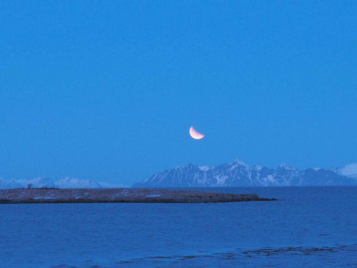 Lofoten Ocean View - Sandoy Gard Sand  Екстер'єр фото